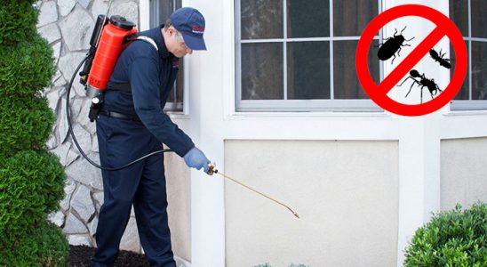 Simav Tahtakurusu İlaçlama böcek ilaçlama ve haşere kontrolü — ilaclama-tr.com